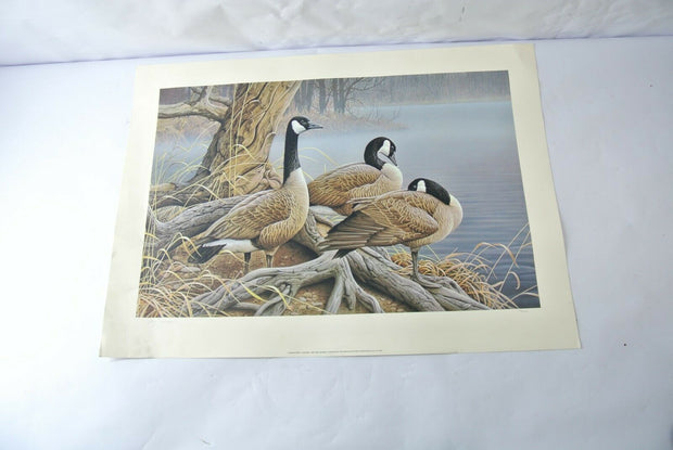 "A Moments Rest" 1990 Ducks Print Jerry Gadamus Limited 752/1000