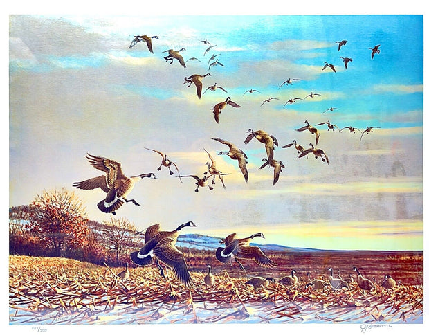 Owen J. Gromme "Settling Geese" MacArthur Collection - Signed & Numbered 282/500