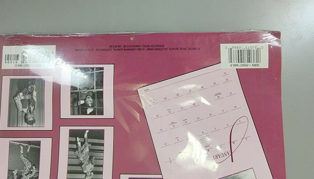 Rare Vintage I Love Lucy 1993 Calendar, Sealed, NRFP