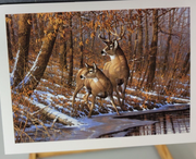 Framed Print, Pair of Deer, Wisconsin Northwoods Buck & Doe 5x4", 11x9" Frame